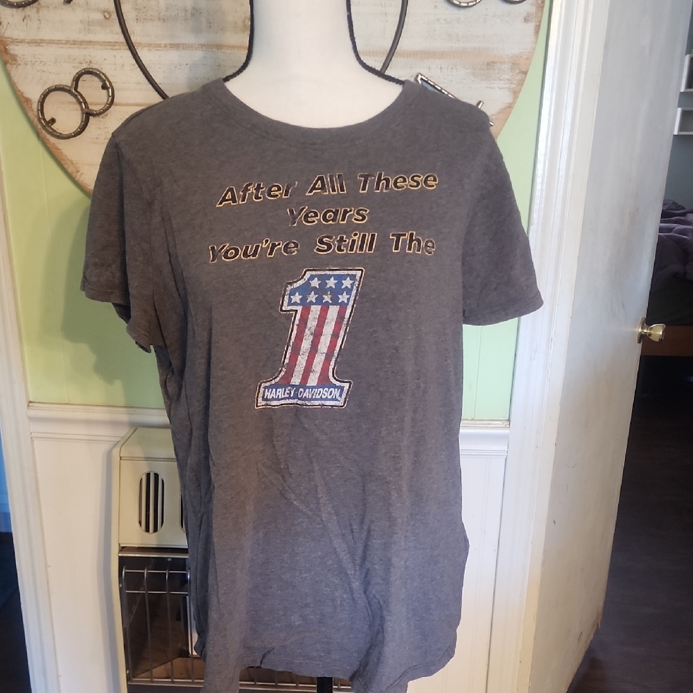 Harley-Davidson Gray Kids T-Shirt